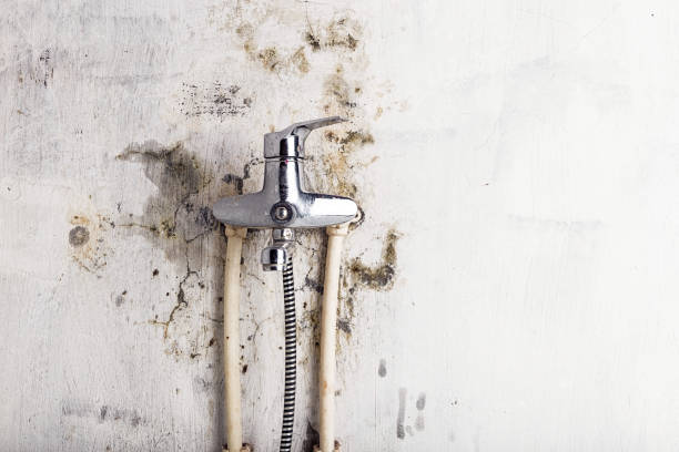 Best Mold Testing  in Crestline, CA