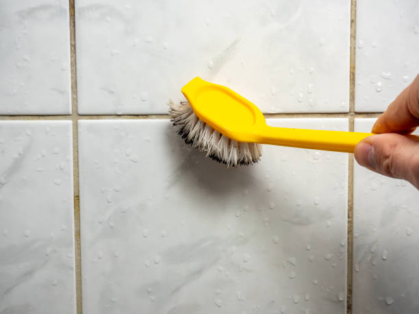 Best Toxic Mold Removal  in Crestline, CA