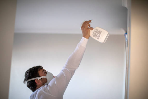  Crestline, CA Mold Removal Pros