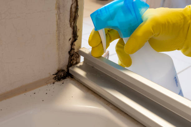 Best Residential Mold Removal  in Crestline, CA