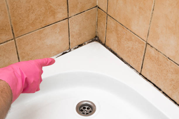 Best Affordable Mold Removal  in Crestline, CA